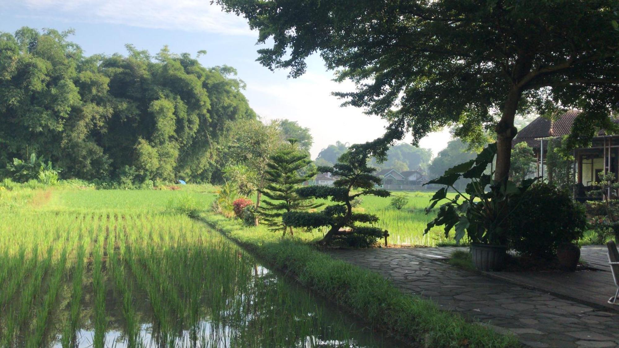 Lotus 2 Guest House Magelang Exterior photo