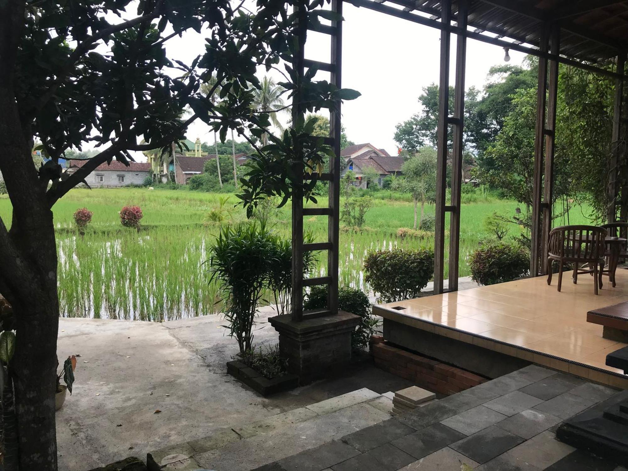 Lotus 2 Guest House Magelang Exterior photo